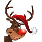 Afficher l’image source